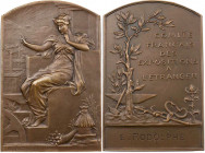 KUNSTMEDAILLEN JUGENDSTIL / ART DECO
Bottée, Louis-Alexandre, 1852-1940. Bronzeplakette 1899 bei Monnaie de Paris Commerce. Prämie des Französischen ...