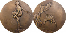 KUNSTMEDAILLEN JUGENDSTIL / ART DECO
Dammann, Paul-Marcel, 1885-1939. Bronzemedaille o. J. (1926) bei Monnaie de Paris Aviation. Vs.: FERIAM / SIDERA...