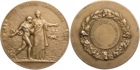 KUNSTMEDAILLEN JUGENDSTIL / ART DECO
Dubois, Henri, 1863-1930. Feuervergoldete Silbermedaille o. J. (vor 1927) bei Monnaie de Paris Prämie der Landwi...