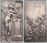 KUNSTMEDAILLEN JUGENDSTIL / ART DECO
Mouchon, Louis-Eugène, 1843-1914. Silberplakette o. J. (1901) bei Monnaie de Paris Souvenir. Vs.: geflügelte Kli...