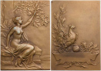 KUNSTMEDAILLEN JUGENDSTIL / ART DECO
Pillet, Charles, 1869-1960. Bronzeplakette o. J. bei Arthus Bertrand, Paris Prämie, Vs.: Fama sitzt mit Fanfare ...