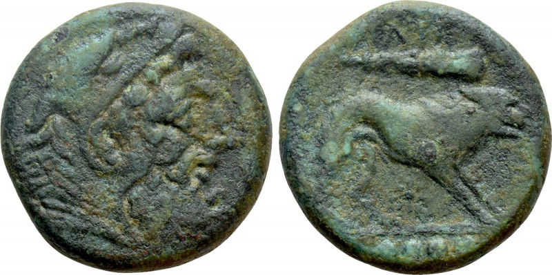 APULIA. Teate. Ae Quadrunx (Circa 225-200 BC). 

Obv: Head of Herakles right, ...