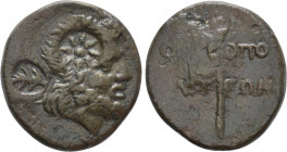 SKYTHIA. Olbia. Ae (Circa 100-90 BC)