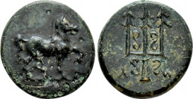 CARIA. Mylasa. Ae (3rd-2nd centuries BC)