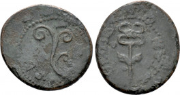 CILICIA. Korykos. Ae (1st century BC)