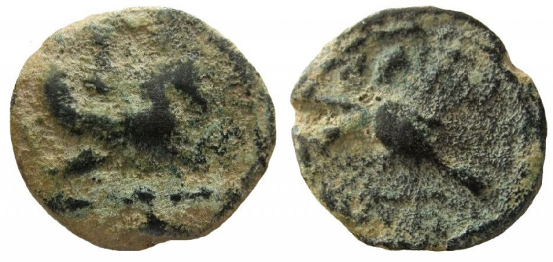 Phoenicia. Tyre. AR Fouree Stater. 23 mm.
Struck circa 332-275 BC.
Obverse: De...