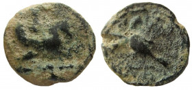 Phoenicia. Tyre. AR Fouree Stater.
23 mm.