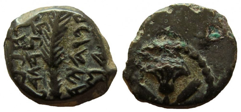 Judean Kingdom. John Hyrcanus I, 134 - 104 BC. AE Prutah.
14 mm. 
Obverse: Pal...