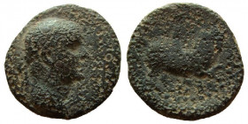 Judaea. Agrippa I, 37-44 AD. AE 20 mm. Caesarea Paneas mint.