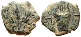 Judaea. Bar Kochba Revolt, 132-135 AD. AE Middle Bronze.