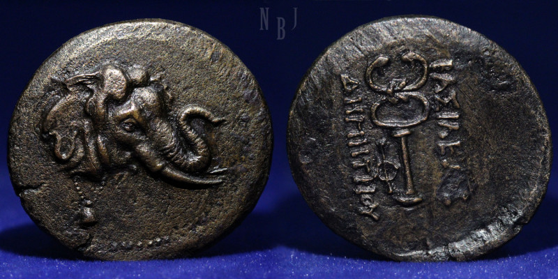 Kings of Bactria, Demetrius I, circa 200 – 185. Triple unit circa 200-185, Æ. El...