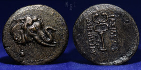 Kings of Bactria, Demetrius I, circa 200 – 185. Triple unit circa 200-185, Æ.