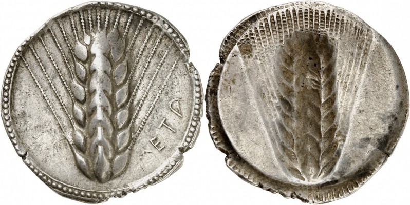GRÈCE ANTIQUE
Lucanie. Métaponte (550-450 av. J.C.). Statère argent.
Av. META ...