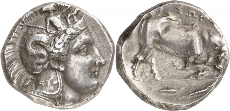 GRÈCE ANTIQUE
Lucanie, Thurium (350-300 av. J.C.). Double statère argent.
Av. ...