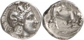 GRÈCE ANTIQUE
Lucanie, Thurium (350-300 av. J.C.). Double statère argent.
Av. Tête d’Athéna à droite portant un casque athénien orné d’un Scylla, EU...
