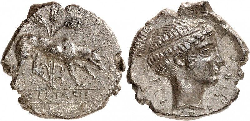 GRÈCE ANTIQUE
Étrurie. Ségeste (IVème siècle av. J.C.). Didrachme argent.
Av. ...