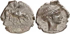 GRÈCE ANTIQUE
Étrurie. Ségeste (IVème siècle av. J.C.). Didrachme argent.
Av. EGESTAION Lévrier passant à droite, derrière, trois épis de blé. Rv. T...