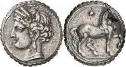 GRÈCE ANTIQUE
Zeugitane, Carthage (160-146 av. J.C.). Double shekel serratus argent.
Av. Tête laurée de Tanit à gauche. Rv. Cheval à droite la patte...