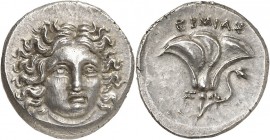GRÈCE ANTIQUE
Iles de Carie, Rhodes (175-170 av J.-C.). Drachme émise lors de la troisième guerre de macédoine, frappée en Thessalie ca.175/170 av. J...