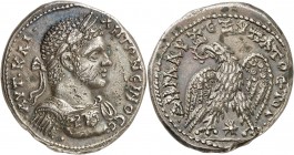 EMPIRE ROMAIN
Elagabale (218-222). Tétradrachme 219, Antioche.
Av. Tête laurée à droite. Rv. Aigle tenant un serpent dans son bec. BMC. 20.202.418. ...
