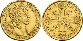 FRANCE
Louis XIII (1610-1643). Double louis d’or 1641, Paris.
Av. Tête laurée à droite. Rv. Croix formée de huit L adossés et couronnés. G. 59, Dup....