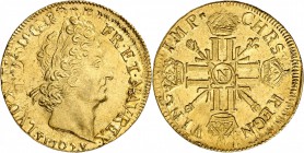 FRANCE
Louis XIV (1643-1715). Double louis d’or aux 8 L et aux insignes 1702, Montpellier, réformation.
Av. Tête laurée à droite. Rv. Croix formée d...