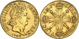 FRANCE
Louis XIV (1643-1715). Double louis d’or aux 8 L et aux insignes 1703, Paris.
Av. Tête laurée à droite. Rv. Croix formée de huit L et surmont...