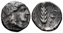 Lucania. Metapontion. Stater. 330-329 BC. (HN Italy-1588). Anv.: Wreathed head of Demeter left, wearing triple pendant. Rev.: Barley ear of seven grai...