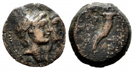 Phoenicia. AE 13. 200-100 BC. Ake Ptolemais. (Hgc-10, 26). Ae. 3,16 g. Choice F. Est...35,00. 

Spanish Description: Phoenicia. AE 13. 200-100 a.C. ...