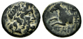 Psidia. AE 17. 72-71 BC. Termessos. (Sng Cop-291). (Sng Bn-2106). Rev.: TEP - Horse rearing left. Ae. 4,88 g. VF. Est...40,00. 

Spanish Description...