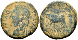 Caesaraugusta. Augustus period. Unit. 27 BC - 14 AD. Zaragoza. (Abh-318). (Acip-tipo 3033). Anv.: AVGVSTVS. DIVI. F. Laureate head of Augustus left. R...