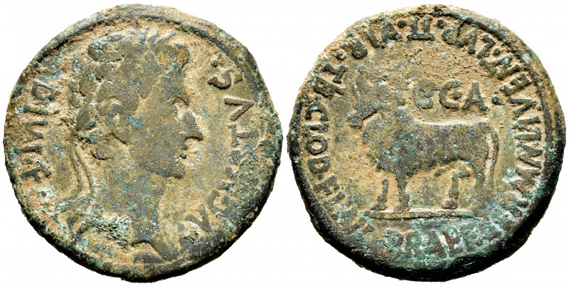 Caesaraugusta. Augustus period. Unit. 27 BC - 14 AD. Zaragoza. (Abh-328). (Acip-...