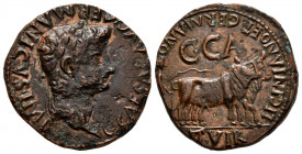 Caesaraugusta. Time of Caligula. Unit. 37-41 AD. Zaragoza. (Abh-390). Anv.: G. CAESAR. AVG. GERMANICVS. IMP. Laureate head of Caligula right. Rev.: Pa...