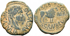 Calagurris. Augustus period. Unit. 27 BC - 14 AD. Calahorra (La Rioja). (Abh-416). (Acip-3122c). Anv.: MVN. CL. IVLIA. AVGVSTVS. Laureate head of Augu...