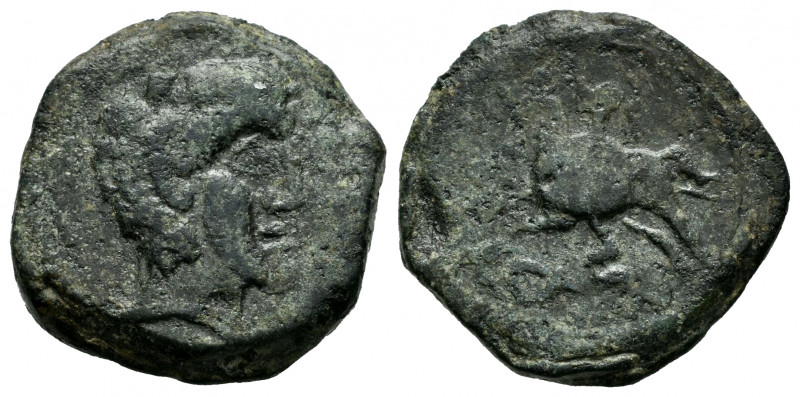 Carisa. Half unit. 50 BC. Bornos (Cádiz). (Abh-447). Anv.: Male head right. Rev....