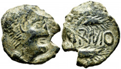 Carmo. Unit. 80 BC. Carmona (Sevilla). (Abh-466). (Acip-2398). Anv.: Head of Hercules right, with lion skin. Rev.: Two ears of corn right, (C)ARMO in ...