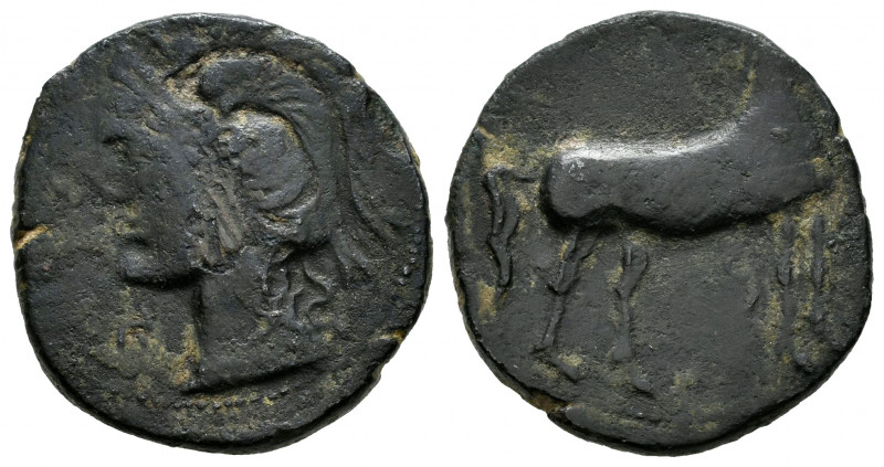 Hispanic-Carthaginian Coinage. Calco. 220-215 BC. Cartagena (Murcia). (Abh-525)....