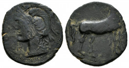 Hispanic-Carthaginian Coinage. Calco. 220-215 BC. Cartagena (Murcia). (Abh-525). (Acip-591). Anv.: Head of Athena left. Rev.: Horse standing right. Ae...