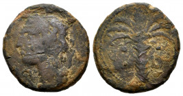 Hispanic-Carthaginian Coinage. 1/2 calco. 220-215 BC. Cartagena (Murcia). (Abh-532). Anv.: Head of Athena left. Rev.: Palm. Ae. 6,52 g. Almost F. Est....