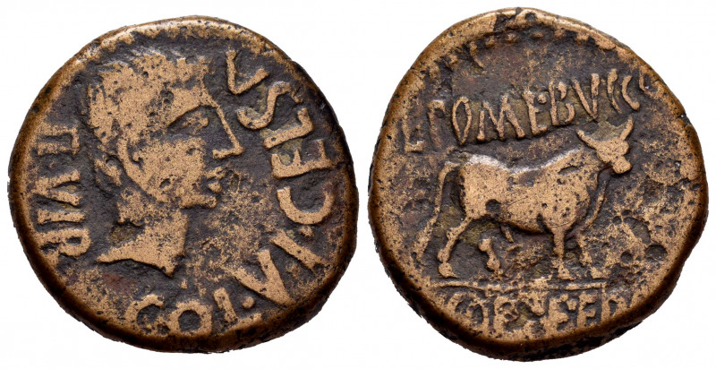 Kelse-Celsa. Augustus period. Unit. 27 BC - 14 AD. Velilla de Ebro (Zaragoza). (...