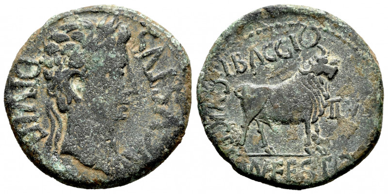 Kelse-Celsa. Augustus period. Unit. 27 BC - 14 AD. Velilla de Ebro (Zaragoza). (...