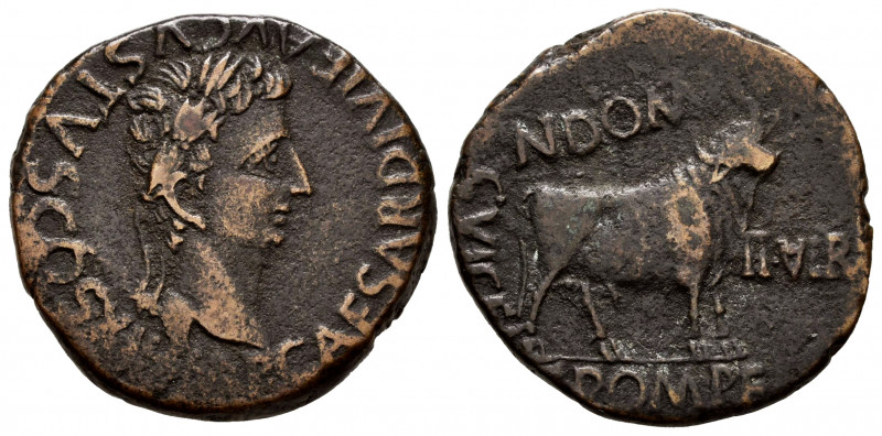 Kelse-Celsa. Augustus period. Unit. 27 BC - 14 AD. Velilla de Ebro (Zaragoza). (...