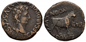 Kelse-Celsa. Augustus period. Unit. 27 BC - 14 AD. Velilla de Ebro (Zaragoza). (Abh-811). Anv.: IMP. CAESAR. DIVI. F. AVGVSTVS. COS. XII. Laureate hea...