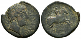 Saiti-Saetabi. Unit. 120-20 BC. Xátiva (Valencia). (Abh-2108). Anv.: Male head right, latin legend SAETABI before. Rev.: Horseman right, holding palm,...