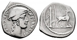 Plancius. Cn. Plancius. Denarius. 55 BC. Rome. (Ffc-991). (Craw-432/1). (Cal-1122). Anv.: CN. PLANCIVS. AED. CVR. S.C., head of Diana Planciana right,...