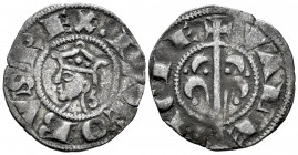 The Crown of Aragon. Jaime I (1213-1276). Dinero. Valencia. (Cru-314). Ve. 0,96 g. VF. Est...50,00. 

Spanish Description: Corona de Aragón. Jaime I...