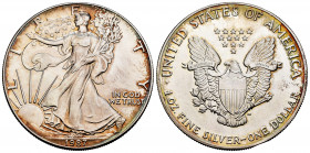 United States. 1 dollar. 1987. (Km-273). Ag. 31,64 g. "American Silver Eagle" (Bullion Coin). Mint state. Est...30,00. 

Spanish Description: Estado...