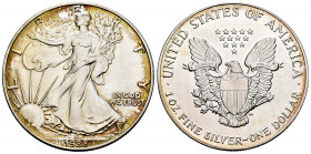 United States. 1 dollar. 1988. (Km-273). Ag. 31,55 g. "American Silver Eagle" (Bullion Coin). Mint state. Est...30,00. 

Spanish Description: Estado...