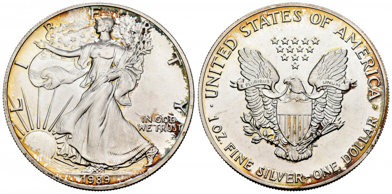 United States. 1 dollar. 1989. (Km-273). Ag. 31,41 g. "American Silver Eagle" (B...