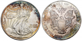 United States. 1 dollar. 2001. (Km-273). Ag. 31,21 g. "American Silver Eagle" (Bullion Coin). Slightly iridescent patina. Mint state. Est...30,00. 
...